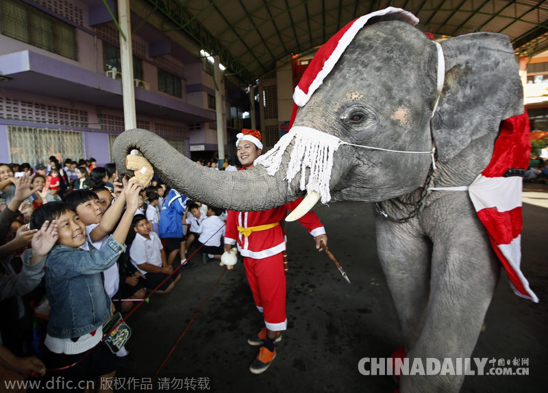 世界各國如何過圣誕？盤點2014各國特色圣誕節(jié)