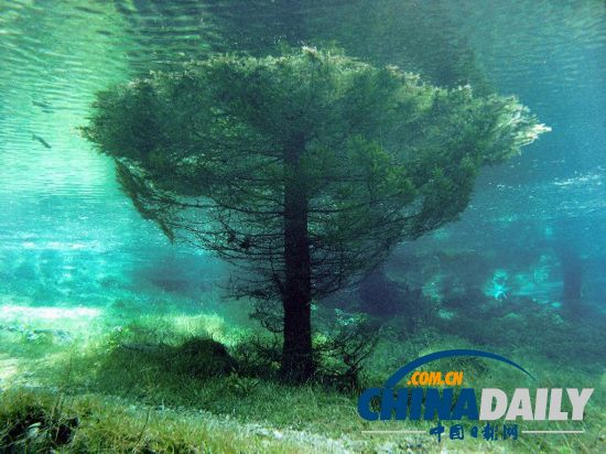 奧地利“水珍珠”：綠湖水下公園