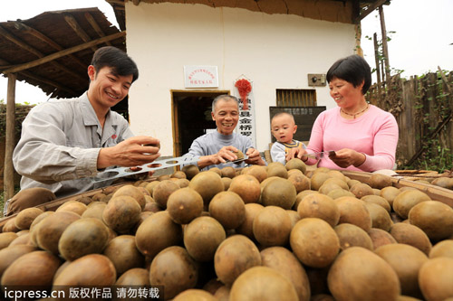 中國羅漢果變身美國汽水產(chǎn)業(yè)大救星?
