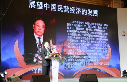 民營(yíng)企業(yè)產(chǎn)業(yè)發(fā)展聯(lián)盟高峰論壇主題分享