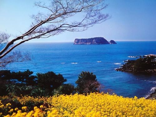韓國(guó)濟(jì)州島成中國(guó)人投資新寵