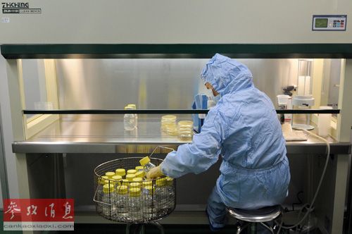 日媒：美歐日藥企猛攻中國 為質(zhì)檢提前3年生產(chǎn)