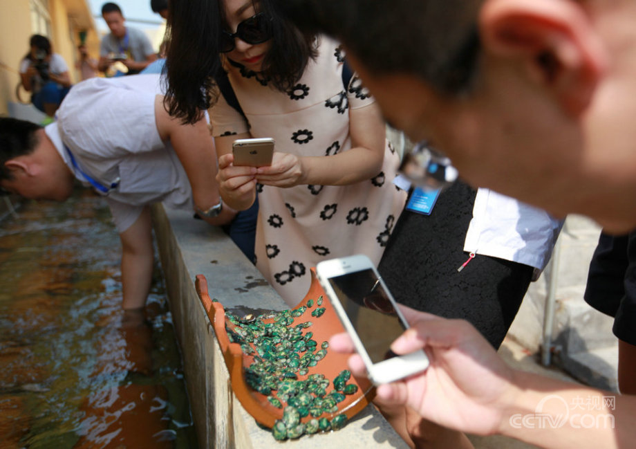 “海上糧倉”建設(shè)的“藍色之路”