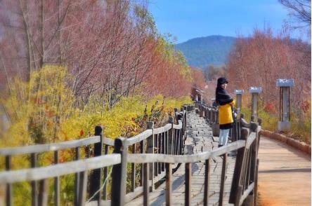 逸景營(yíng)地旅游眾籌社群化新模式 消費(fèi)升級(jí)再添新動(dòng)力