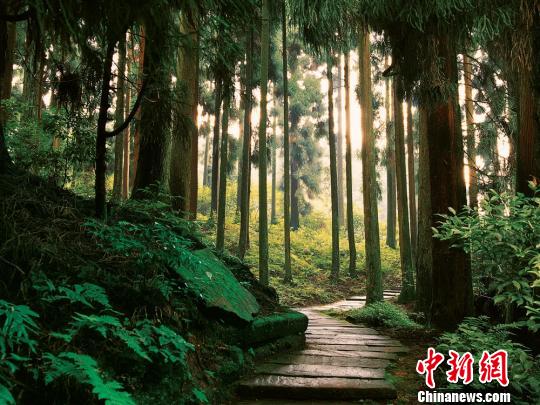 四川天臺山創(chuàng)5A景區(qū)實施改造為螢火蟲讓路