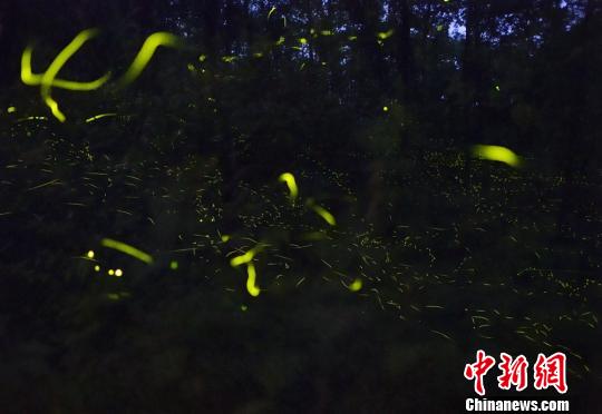 四川天臺山創(chuàng)5A景區(qū)實施改造為螢火蟲讓路