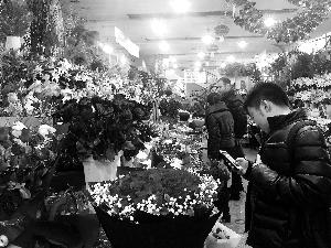 情人節(jié)玫瑰花價格一路猛漲：一束國產玫瑰飆至千元