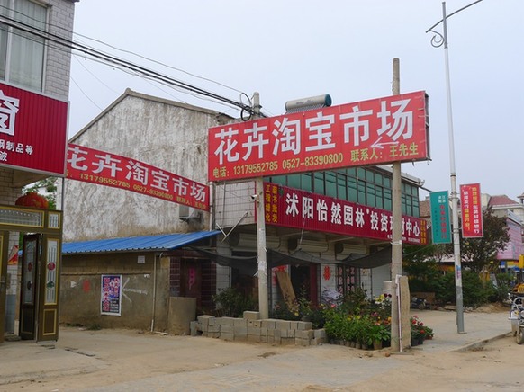 世界銀行點贊中國“淘寶村”：助農(nóng)民變成企業(yè)家 應推廣至全球
