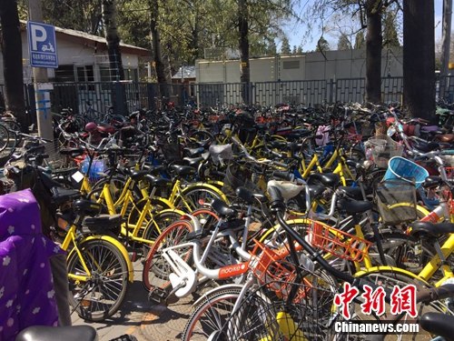 共享單車停放無視指示牌 部分景區(qū)周邊被擠占