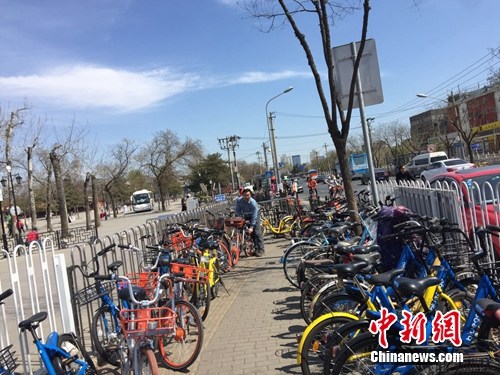 共享單車停放無視指示牌 部分景區(qū)周邊被擠占