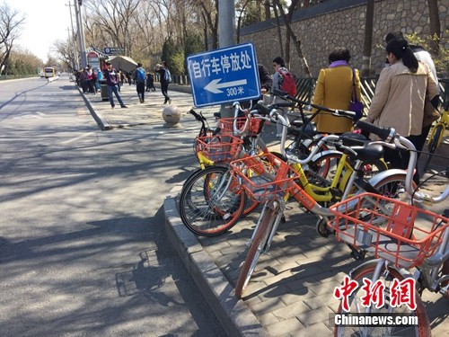 共享單車停放無視指示牌 部分景區(qū)周邊被擠占
