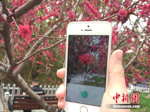 人工智能還能這么玩！識(shí)花神器讓你三秒告別“花癡”