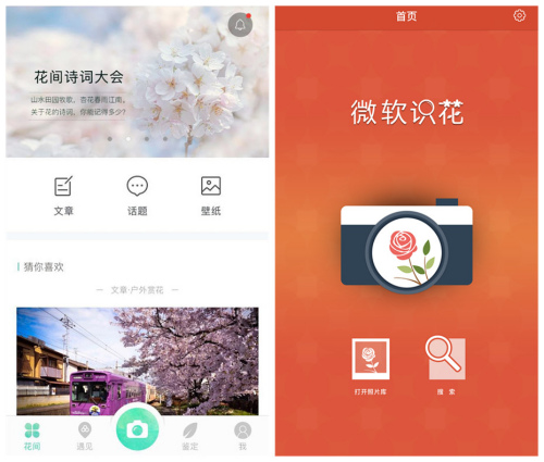 人工智能還能這么玩！識(shí)花神器讓你三秒告別“花癡”