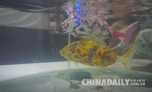 以假亂真！“機器魚”暢游2017世界機器人大會