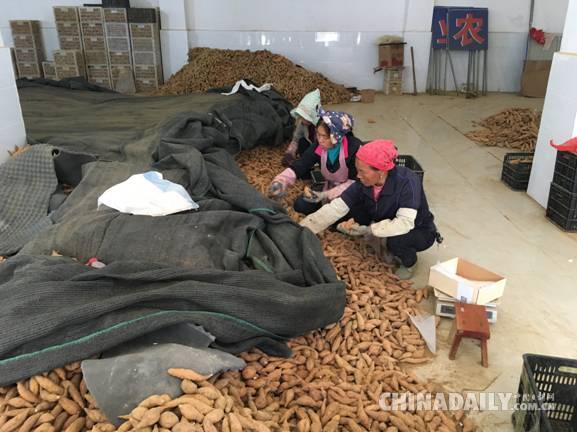 【十九大精神進(jìn)央企】南方電網(wǎng)：打通扶貧的“最后一公里”