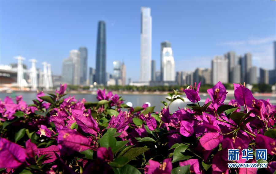 廣州：燈?；ǔ窍蚴澜缯故?#8220;財(cái)富美”