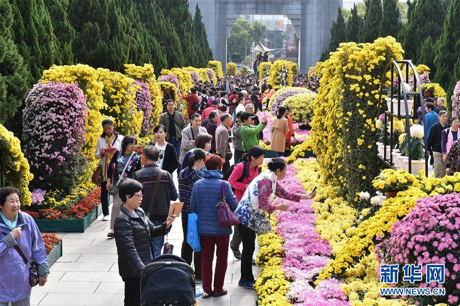 廣州：燈海花城向世界展示“財(cái)富美”